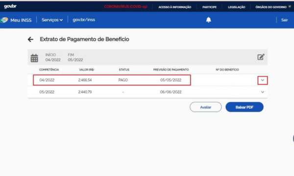 Imprimir ou baixar PDF de Extrato INSS (Fonte - Google)
