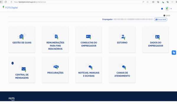 Recursos do FGTS Digital (Fonte Google)