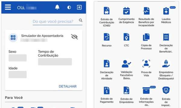 Alguns serviços no Meu INSS (Fonte - Google)