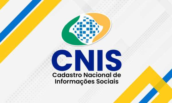 Consultar CNIS: Acesse e Confira Seus Dados de Contribuição