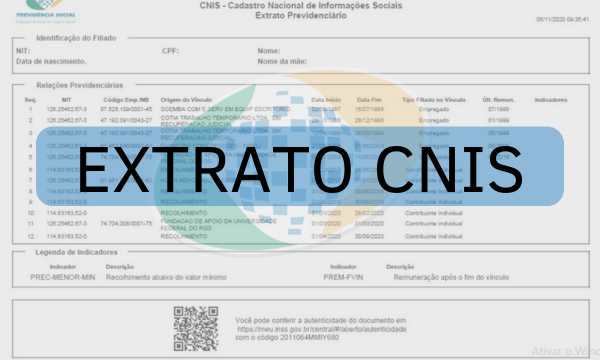 Extrato CNIS: O que é e Como Consultar