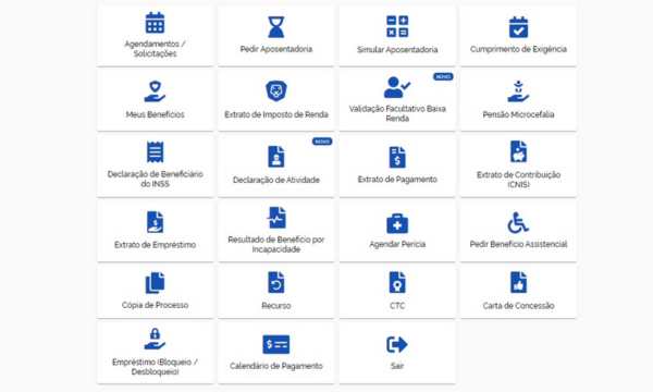 Serviços Disponíveis no Meu INSS (Fonte - Google)