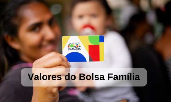 Valores Bolsa Família: Entenda Como Funcionam