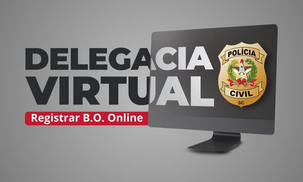 Delegacia Virtual: Como Registrar B.O. Online